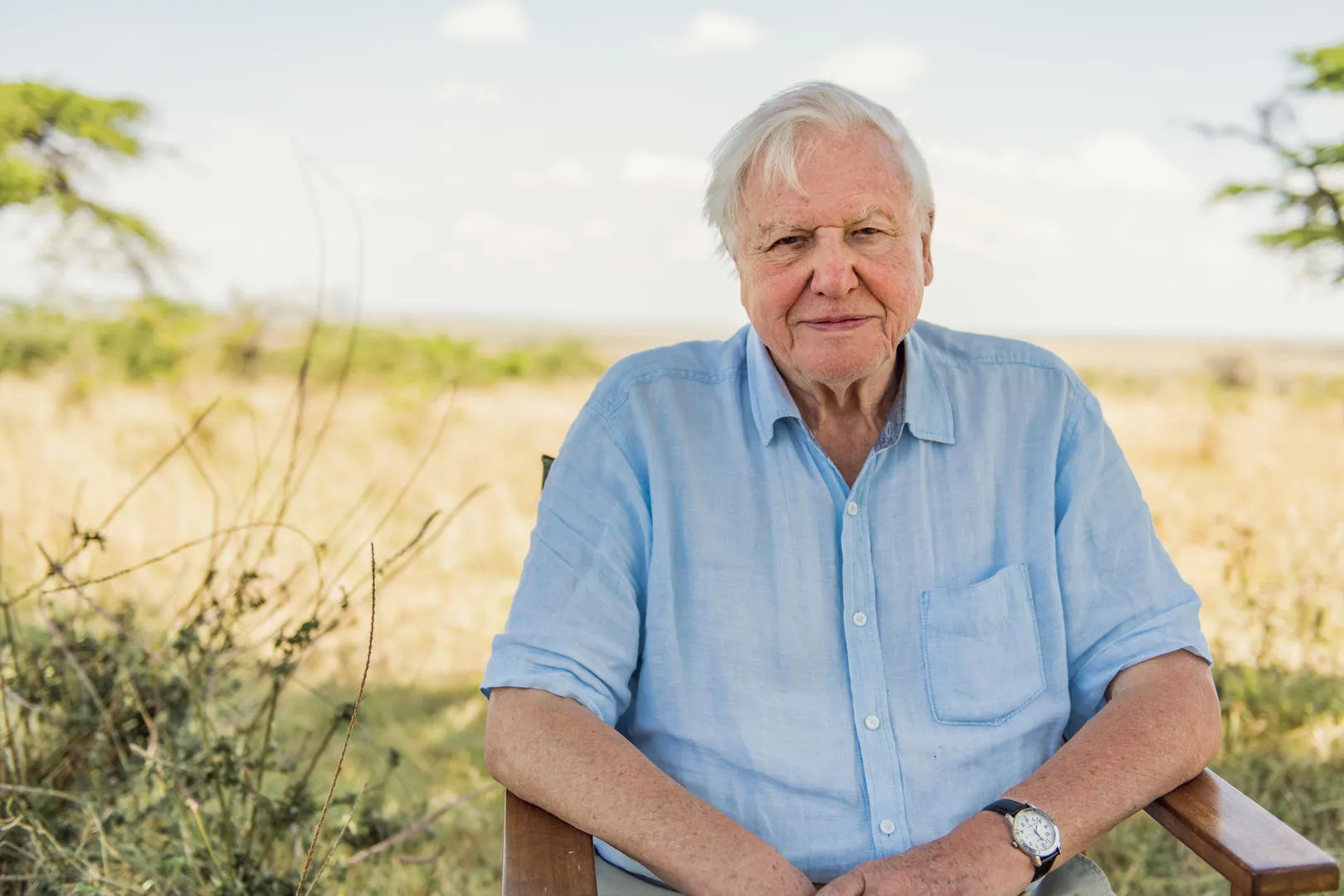 David Attenborough 100th Birthday Countdown Clock